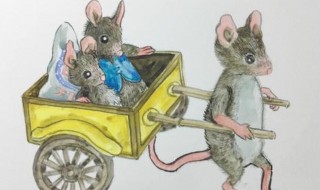 老鼠进家的风水说法 老鼠进家的风水说法,赶走