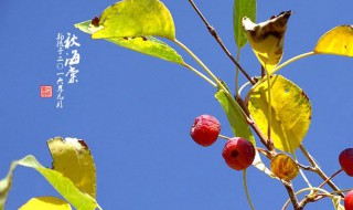 9月22日是什么日子（1999年9月22日是什么日子）