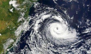 台风来了有什么警告（台风来了有几种预警）