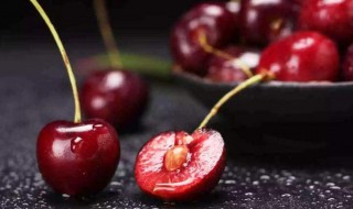 车厘子和樱桃是什么关系蚂蚁庄园 车厘子和樱桃啥关系