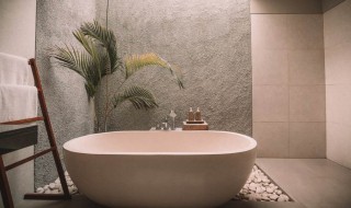 关于卫生间的生活小妙招小技巧（擦拭卫生间的小妙招）