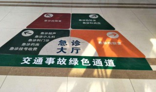 绿色通道中绿色的含义（绿色通道中的绿色指什么含义）