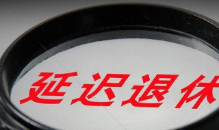 到退休年龄能延迟退休吗（到退休年龄可以延迟退休吗）