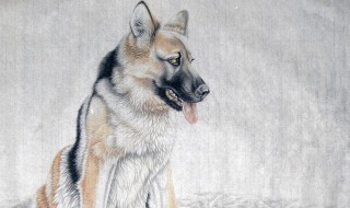 94年属什么的（94年属什么的生肖配对）