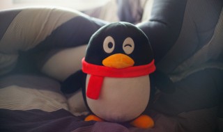 如何退订超级qq（如何退订超级qq会员）