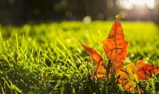 秋分后天气还热吗（秋分后还热几天）