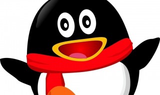 怎样更改qq头像（怎样更改qq头像照片）