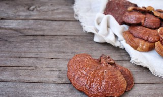 灵芝的生长年份有多少年了（灵芝一般多少年）