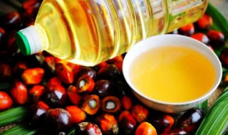 棕榈油的危害 成品棕榈油的危害