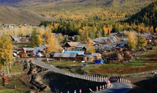 农村怎样致富（农村怎样致富赚钱）