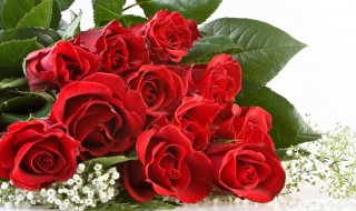 送礼物送什么好（给女生送礼物送什么好）