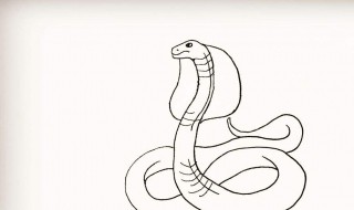 男人梦见蛇 男人梦见蛇咬自己是什么意思