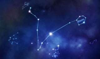 双鱼座女孩性格（双鱼座女孩性格特点）