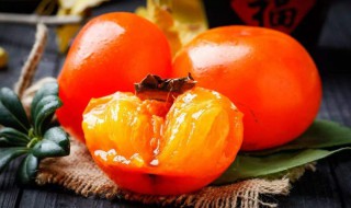 怀孕能吃柿子吗（怀孕能吃柿子吗早期）