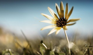 经典个人签名 经典个人签名大全