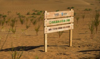 能量双击卡怎么获得（能量双击卡怎么得到）