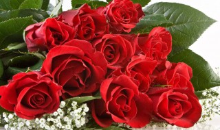 给客户送礼送什么好（公司送客户礼品什么最好）