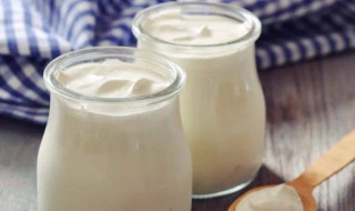 猫喝酸奶的好处和坏处（猫喝酸奶有好处吗）