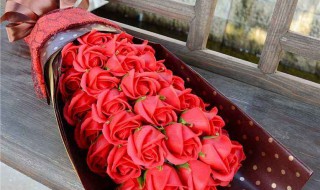 送什么女朋友生日礼物好（送女朋友啥生日礼物好）