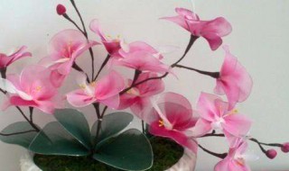 如何制作丝袜花（如何制作丝袜花束）