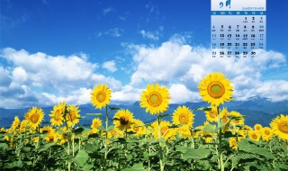 9月份的结婚黄道吉日 9月份的结婚黄道吉日有哪几天