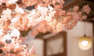 浪漫的精髓在于什么（浪漫的精髓就在于它充满种种可能）