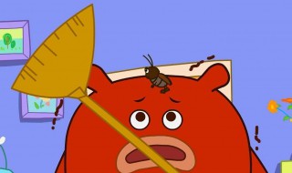 生蟑螂怎么灭 生蟑螂怎么灭掉