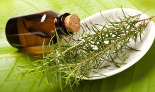 橄榄油的减肥方法 橄榄油的减肥方法是什么