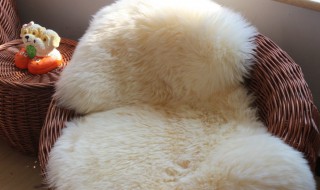 如何清洗羊毛垫 如何清洗羊毛垫子视频