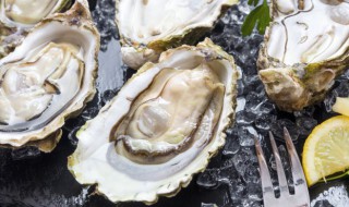 如何清洗生蚝 如何清洗生蚝肉