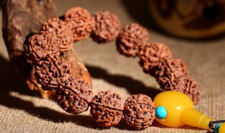 菩提如何清洗（菩提怎么清洗）