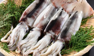 如何清洗墨鱼 如何清洗墨鱼仔