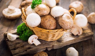 蘑菇如何清洗 蘑菇如何清洗比较干净