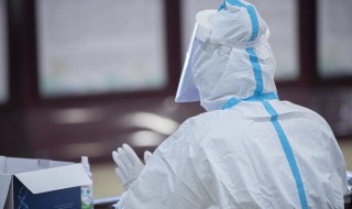 打疫苗怎么打 自己在家给狗狗打疫苗怎么打