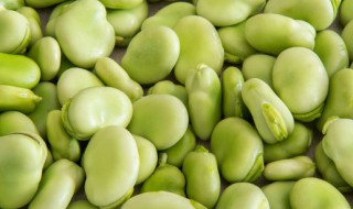 新鲜蚕豆米保鲜方法（新鲜蚕豆米保鲜方法视频）