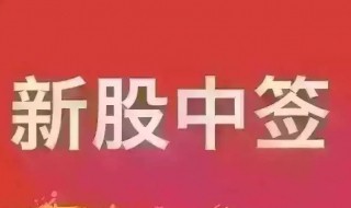 新股中签怎么操作（新股中签怎么操作不用缴款）