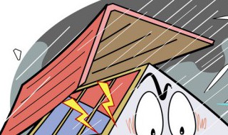 台风来了我们该怎么做（台风来了我们该怎么做图片）