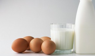 鸡吃鸡蛋怎么办（芦丁鸡吃鸡蛋怎么办）