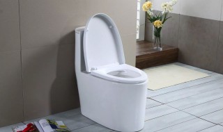 卫生间除臭小妙招 卫生间除臭小妙招视频