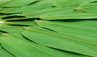 粽叶的种类有哪些（粽叶的种类有哪些图片）