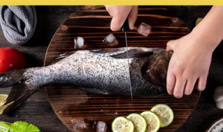 如何简单掌握改花刀技巧 如何花式转刀