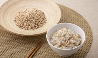 燕麦米煮烂的小妙招（燕麦如何快速煮烂）