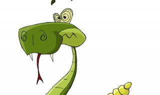 遇到毒蛇时的正确做法（遇到毒蛇时的正确做法视频）