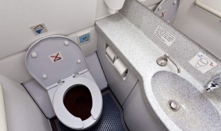 清除龟背上青苔最佳方法（如何清除龟背上的青苔）