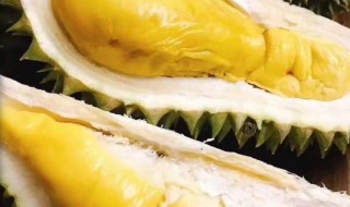 带壳榴莲储存方法 带壳子的榴莲怎么保存