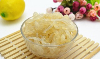 海蜇的折叠方法（海蜇的折叠方法视频）