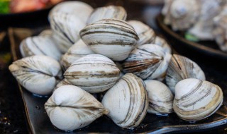 蚬子吐沙小窍门（蚬子如何快速吐沙）