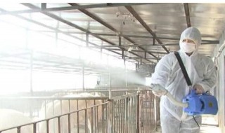 养殖场生石灰消毒方法 养殖场生石灰消毒方法有哪些