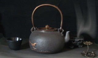 铁壶的使用与保养方法（铁壶的使用与保养方法视频）