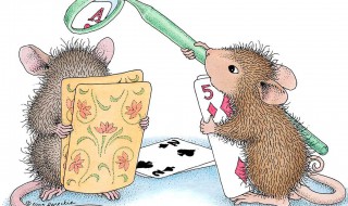 灭老鼠的妙招 13个灭老鼠妙招 灭鼠方法大全